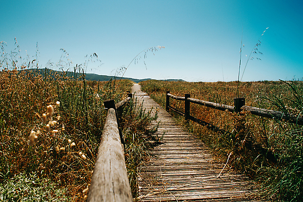 포토 JPG 해외이미지 파도 바다 곡선 난간 자연 하늘 등대 풍경 사람없음 목재 여름 모래사장 햇빛 태양 평화 계단 금속 맑음 흰색 정상 지중해 순수 좁은 단상 단계 해외202009 해외포토 자연요소 나무 계절 선 컬러 컨셉 재료 재질 날씨 생태계 파일형식