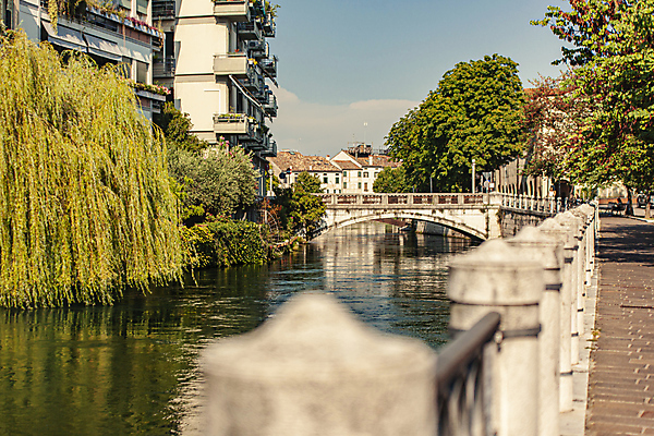 포토 JPG 해외이미지 나무 공원 유럽 길 여행 잎 건축양식 자연 하늘 거리 주택 풍경 사람없음 야외 건물 초록색 물 여름 강 검은색 이탈리아 낭만 가을 흰색 도시 센터 역사 그림 운하 지역 타운 옛날 해외202009 해외포토 자연요소 식물 건축물 계절 공공시설 건축 나라 컬러 컨셉 생태계 파일형식