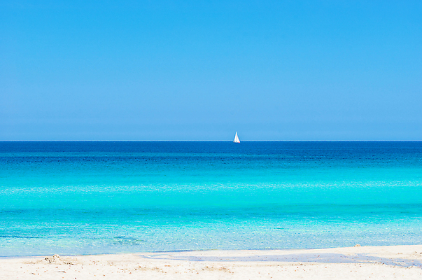 포토 JPG 해외이미지 모래 바다 섬 여행 백그라운드 요트 하늘 휴가 휴식 항해 사람없음 물 파란색 관광지 보트 질감 열대기후 이국적 터키석 파라다이스 수평선 해외202009 해외포토 자연요소 컬러 컨셉 배_교통 보석 파일형식