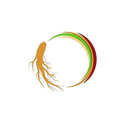 EPS 해외이미지 무료이미지 건강 사람없음 약 인삼 뿌리 해외202009 해외202105 의학 삼 파일형식 벡터