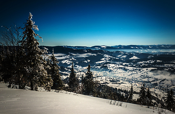 포토 JPG 해외이미지 나무 계절 별 과학 백그라운드 겨울 자연 하늘 스키 불꽃 휴식 산 풍경 사람없음 야외 파란색 빛 태양 우주 일출 환경 어둠 꿈 야간 숲 달빛 언덕 코스모스 서리 은하계 장면 점성술 공상 마법 전나무 별빛 깊이 해외202009 눈덮임 해외포토 자연요소 식물 꽃 컬러 컨셉 불 겨울스포츠 노을 달 생태계 파일형식