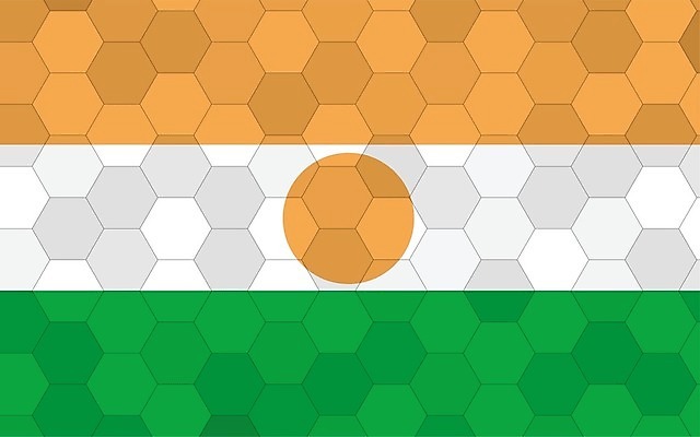 EPS 해외이미지 디자인 배너 문화 여행 백그라운드 오렌지 일러스트 아프리카 추상 미래 그래픽 초록색 태양 줄무늬 손상 흰색 깃발 원형 심볼 사인 그림 육각형 직사각형 애국심 벌집 고립 니제르 독립 전국 해외202009 해외일러스트 자연요소 도형 나라 컬러 컨셉 무늬 과일 파일형식 벡터