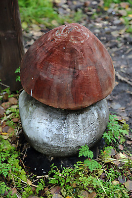포토 JPG 해외이미지 식물 디자인 계절 공원 백그라운드 잎 주택 아이디어 창조 미술 사람없음 야외 목재 장식 갈색 정원 버섯 가을 흰색 우아함 오브젝트 원예 온실 인공 캡모자 해외202009 해외포토 나무 모자_잡화 공공시설 컬러 컨셉 재료 문화예술 취미 건물 파일형식