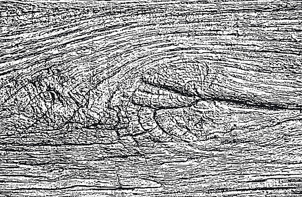 EPS 해외이미지 나무 벽 백그라운드 패턴 일러스트 자연 벽지 탁자 표면 날씨 추상 바닥 목재 장식 울타리 검은색 고통 수확 껍질 흰색 시골 판넬 거친 널 낟알 천 고민 질감 복고 덮기 나무껍질 잡동사니 내추럴 그런지 다락방 수목 옛날 해외202009 해외일러스트 식물 감정 컬러 가구 무늬 농업 재료 모션 담장 직물 생태계 파일형식 벡터