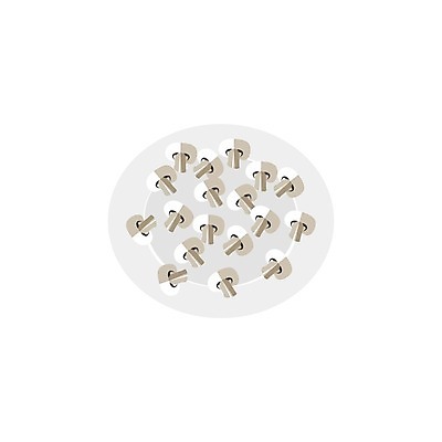 EPS 해외이미지 접시 디자인 음식 조각 백그라운드 다이어트 채소 일러스트 재료 자연 건강 장식 세트 식사 버섯 수확 가을 흰색 신선 맛 상품 만화 자르기 먹기 심볼 오브젝트 그림 유기농 날것 내추럴 고립 곰팡이 단백질 생식 숙성 식용 엘리먼트 채식주의자 개조 해외202009 해외일러스트 식기 웰빙 계절 컬러 컨셉 농업 모션 생태계 채식 영양소 파일형식 벡터