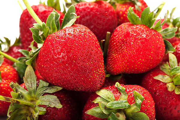 포토 JPG 해외이미지 딸기 근접촬영 사람없음 흰배경 해외202009 해외포토 뷰포인트 백그라운드 과일 흰색 파일형식