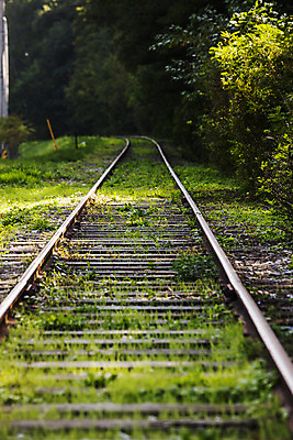 포토 JPG 주간 여행 한국 풍경 사람없음 야외 관광지 기찻길 경상북도 국내여행 간이역 불정역 폐역 국내포토 자연요소 아시아 역 경상도 기차역 문경 파일형식