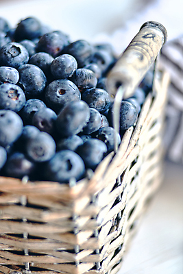 포토 JPG 해외이미지 열매 음식 백그라운드 다이어트 과일 자연 디저트 건강 사람없음 목재 파란색 바구니 봄 신선 달콤 맛 정상 유기농 블루베리 날것 내추럴 숙성 채식주의자 맛있는 해외202009 해외포토 나무 식물 웰빙 계절 컬러 컨셉 재료 생태계 채식 파일형식