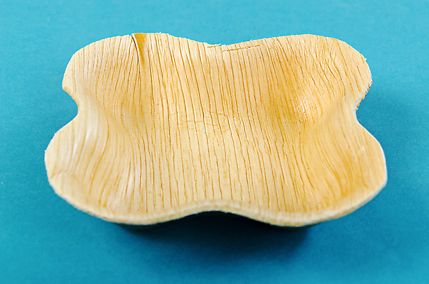 포토 JPG 해외이미지 접시 사람없음 재활용 일회용 파란배경 해외202009 해외포토 식기 백그라운드 파란색 친환경 파일형식