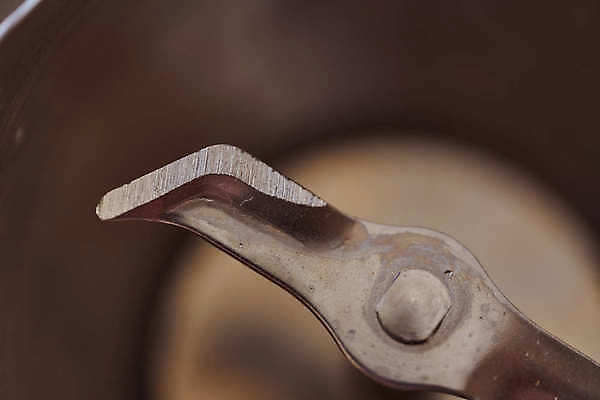 포토 JPG 해외이미지 꽃 가정 주택 요리 서기 사람없음 가로 빨간색 컬러풀 한개 금속 주방 계란 기계 흰색 도움 혼합 자르기 믹서 크림 준비 흰배경 작업도구 성분 섞기 스테인레스 철강 해외202009 해외포토 식물 1 컬러 백그라운드 컨셉 모션 재질 건물 알 도구 파일형식