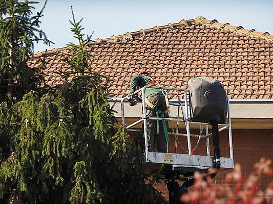 포토 JPG 해외이미지 나무 식물 산업 얼굴 자연 노동자 안전 사람없음 바구니 재킷 보호 헬멧 가득함 기중기 방패 짐차 원예사 해외202009 해외포토 직업 컨셉 자동차 신체부위 외투 중장비 보호장비 생태계 파일형식