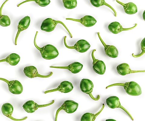 포토 JPG 해외이미지 잡화 줄기 채소 재료 자연 고추 불 파프리카 건강 사람없음 빨간색 초록색 농장 노란색 수확 성장 흰색 뜨거움 원형 체리 시장 닫기 달콤 상품 작음 큼 폭탄 인도인 향신료 싱글 유기농 매움 날것 후추 국산 칠레 보닛 고립 숙성 식용 온실 줄서기 좋음 해외202009 해외포토 자연요소 도형 외국인 식물 웰빙 컬러 컨셉 농업 과일 모션 자동차 동양인 남아메리카 맛 크기 폭발물 생태계 향미료 파일형식