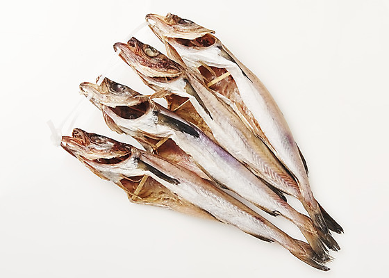 포토 JPG 스튜디오촬영 한식 음식 식재료 실내 누끼 사람없음 하이앵글 흰배경 코다리 국내포토 뷰포인트 백그라운드 어류 내부 흰색 파일형식