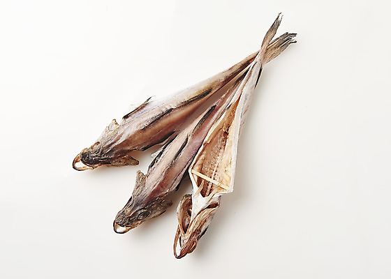 포토 JPG 스튜디오촬영 한식 음식 식재료 실내 누끼 사람없음 흰배경 코다리 국내포토 백그라운드 어류 내부 흰색 파일형식