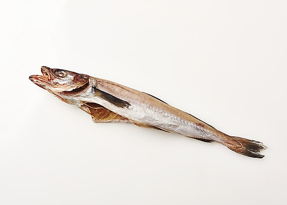 포토 JPG 스튜디오촬영 한식 음식 식재료 실내 누끼 사람없음 하이앵글 흰배경 코다리 국내포토 뷰포인트 백그라운드 어류 내부 흰색 파일형식