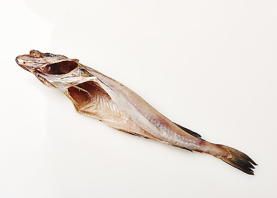 포토 JPG 스튜디오촬영 한식 음식 식재료 실내 누끼 사람없음 하이앵글 흰배경 코다리 국내포토 뷰포인트 백그라운드 어류 내부 흰색 파일형식