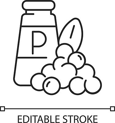 EPS 해외이미지 그릇 디자인 선 음식 컨셉 일러스트 재료 옥수수 요리 미술 씨앗 픽토그램 상점 주방 검은색 웹 양념 조미료 거친 플랫 낟알 인도인 허브 심볼 향신료 사인 그림 유기농 심플 윤곽 아로마 향료 향 후추 내추럴 고립 땅바닥 얇은 억울 해외202009 해외일러스트 외국인 식물 식기 웰빙 감정 컬러 인터넷 문화예술 곡류 바닥 동양인 향기 냄새 향미료 파일형식 벡터