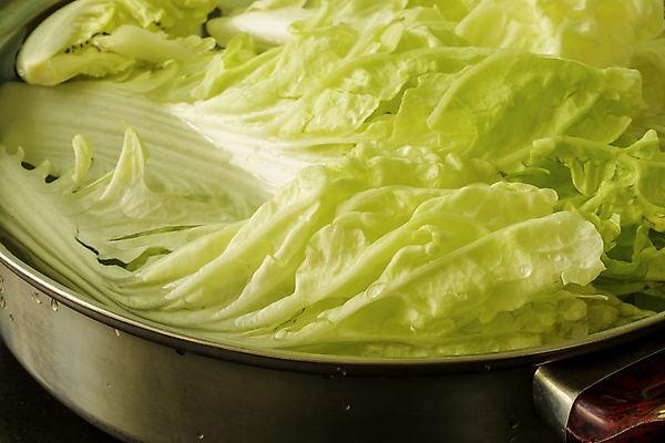 포토 JPG 해외이미지 백그라운드 채소 사람없음 초록색 중국 신선 유기농 양배추 날것 해외202009 해외포토 웰빙 아시아 컬러 파일형식