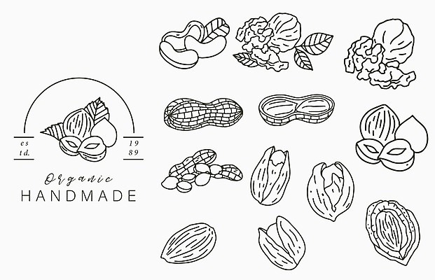 EPS 해외이미지 디자인 선 꽃무늬 채소 일러스트 자연 추상 콩 건강 씨앗 그래픽 장식 장미 검은색 견과류 시골 우아함 상품 수집 심볼 오브젝트 사인 그림 유기농 땅콩 호두 손그림 아몬드 내추럴 엘리먼트 채식주의자 캐슈넛 피스타치오 개암 모노그램 세련 비건 미니멀 해외202009 해외일러스트 식물 웰빙 열매 꽃 컬러 컨셉 무늬 곡류 생태계 채식 파일형식 벡터