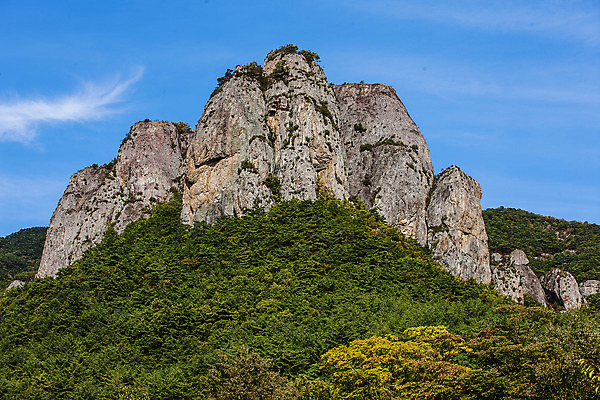 포토 JPG 주간 나무 여행 산 한국 풍경 사람없음 야외 관광지 암석 숲 경상북도 국내여행 주왕산 청송 국내포토 자연요소 식물 아시아 돌_바위 경상도 파일형식