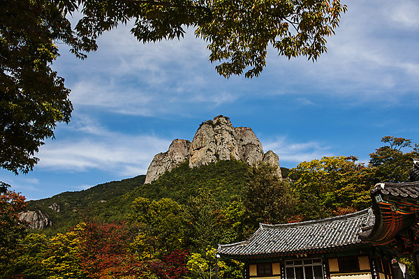 포토 JPG 주간 나무 여행 산 한국 풍경 사람없음 야외 관광지 암석 숲 경상북도 국내여행 주왕산 청송 국내포토 자연요소 식물 아시아 돌_바위 경상도 파일형식