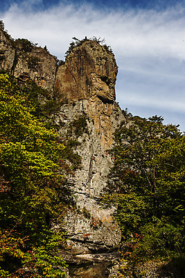 포토 JPG 주간 나무 여행 산 한국 풍경 사람없음 야외 관광지 암석 숲 경상북도 국내여행 주왕산 청송 국내포토 자연요소 식물 아시아 돌_바위 경상도 파일형식