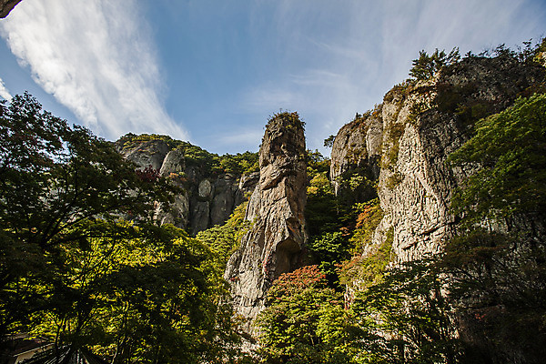 포토 JPG 주간 나무 여행 산 한국 풍경 사람없음 야외 관광지 암석 숲 경상북도 국내여행 주왕산 청송 국내포토 자연요소 식물 아시아 돌_바위 경상도 파일형식
