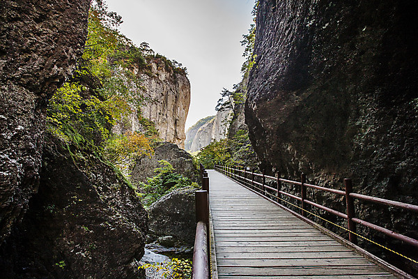 포토 JPG 주간 나무 여행 산 한국 풍경 사람없음 야외 관광지 암석 숲 경상북도 국내여행 주왕산 청송 국내포토 자연요소 식물 아시아 돌_바위 경상도 파일형식