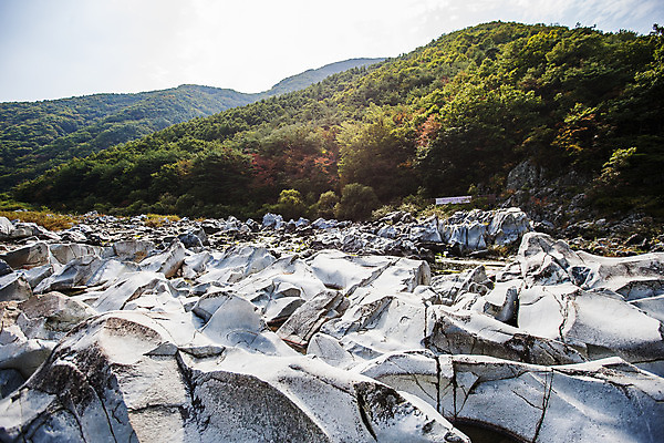 포토 JPG 주간 여행 산 한국 풍경 사람없음 야외 관광지 암석 숲 경상북도 국내여행 주왕산 청송 국내포토 자연요소 아시아 돌_바위 경상도 파일형식