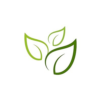 EPS 해외이미지 일러스트 나뭇잎 사람없음 초록색 에코 해외202009 해외일러스트 컬러 잎 환경 파일형식 벡터