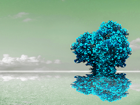 포토 JPG 해외이미지 나무 식물 구름 캐릭터 계절 꽃 호수 겨울 자연 하늘 풍경 사람없음 목재 초록색 물 여름 파란색 강 반사 평화 얼음 일몰 거울 추위 안개 흰색 숲 시원함 자작나무 내추럴 해외202009 해외포토 자연요소 컬러 컨셉 재료 날씨 노을 생태계 파일형식