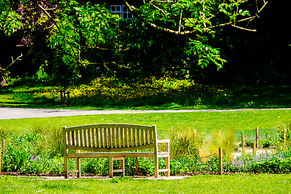 포토 JPG 해외이미지 나무 식물 계절 공원 길 잎 벤치 자연 휴식 풍경 사람없음 목재 초록색 여름 컬러풀 정원 침묵 봄 기쁨 내추럴 옛날 해외202009 해외포토 공공시설 감정 컬러 컨셉 의자 재료 소리 생태계 파일형식