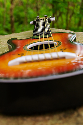 포토 JPG 해외이미지 모양 줄 신체 사람없음 야외 목재 어둠 기구 기타 끈 클래식 닫기 묘사 예술가 목 재즈 뮤지컬 수목 해외202009 해외포토 나무 음악 컨셉 재료 모션 현악기 신체부위 파일형식