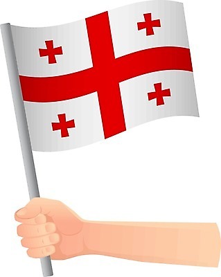 EPS 해외이미지 손 디자인 물결 컨셉 일러스트 자유 축하 깃발 잡기 작음 심볼 사인 깃대 봉 팔 애국심 고립 독립 전국 조지아 해외202009 해외일러스트 모션 신체부위 크기 동유럽 파일형식 벡터