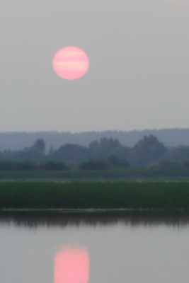 포토 JPG 해외이미지 구름 실루엣 호수 분홍색 여행 백그라운드 오렌지 자연 하늘 아침 파노라마 풍경 사람없음 야외 물 강 햇빛 태양 반사 평화 일출 침묵 황혼 일몰 새벽 안개 황무지 저녁 소프트포커스 숲 수평선 해외202009 해외포토 주간 자연요소 컬러 컨셉 과일 날씨 촬영기법 노을 소리 야간 생태계 파일형식