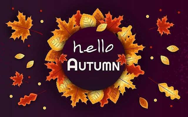 EPS 해외이미지 식물 무료이미지 템플릿 디자인 배너 계절 포스터 백그라운드 컨셉 단풍 잎 오렌지 일러스트 모션 자연 벽지 휴가 프레임 선물 미술 장식 빨간색 단어 컬러풀 노란색 유행 가을 신용카드 정상 9월 사인 질감 레이아웃 주말 활기 애니메이션 추수감사절 동영상 구성 해외202009 해외202105 해외일러스트 문자 기독교 컬러 과일 문화예술 금융 날짜 생태계 파일형식 벡터