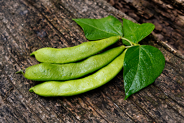 포토 JPG 해외이미지 접시 음식 백그라운드 농업 다이어트 채소 콩 건강 사람없음 목재 초록색 우주 수확 시골 신선 오브젝트 유기농 날것 내추럴 꼬투리 생식 채식주의자 카피스페이스 나무배경 해외202009 해외포토 나무 식기 웰빙 산업 컬러 재료 곡류 공백 채식 파일형식