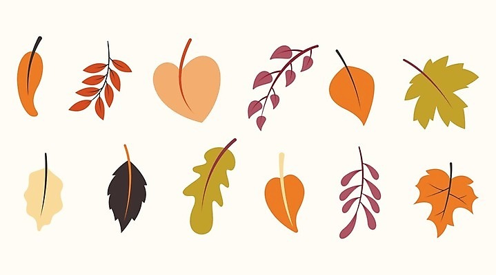 EPS 해외이미지 나무 구름 템플릿 디자인 배너 계절 공원 도로 여행 백그라운드 컨셉 잎 밭 오렌지 일러스트 자연 하늘 산 거리 미술 풍경 야외 건물 그래픽 태양 노란색 우주 환경 정원 가을 도시 신용카드 플랫 숲 만화 땅 언덕 장면 타운 10월 내추럴 엘리먼트 수평선 해외202009 해외일러스트 자연요소 식물 건축물 공공시설 길 컬러 농업 과일 교통시설 문화예술 금융 날짜 생태계 파일형식 벡터