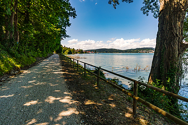 포토 JPG 해외이미지 나무 응시 계절 스포츠 여행 자국 모션 자연 휴가 휴식 거리 건강 초원 사람없음 야외 초록색 물 여름 환경 골짜기 봄 하이킹 자유 시골 숲 배낭여행 천국 생태학 파멸 해외202009 해외포토 자연요소 식물 시선 교육 컬러 컨셉 레저 생태계 파일형식 소멸