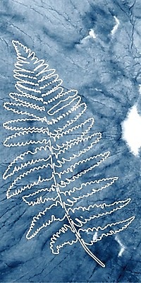 EPS 해외이미지 식물 실루엣 종이 백그라운드 잎 패턴 일러스트 자연 추상 수채화 그래픽 장식 파란색 환경 낭만 직물 인쇄 남색 그림 질감 엽서 손그림 청사진 양치류 해외202009 해외일러스트 컬러 컨셉 무늬 촬영기법 편지 생태계 파일형식 벡터