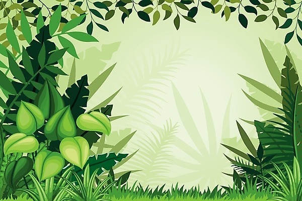 EPS 해외이미지 나무 식물 무료이미지 잎 일러스트 자연 풍경 목재 초록색 열대우림 아마존 해외202009 해외202105 해외일러스트 컬러 재료 숲 생태계 파일형식 벡터 무료콘텐츠