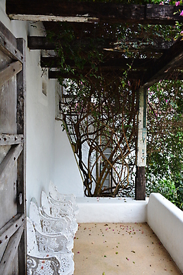 포토 JPG 해외이미지 식물 디자인 잎 건축양식 자연 주택 사람없음 야외 발코니 나뭇가지 기어가기 해외202009 해외포토 나무 건축 모션 건물 생태계 파일형식