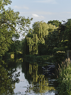 포토 JPG 해외이미지 나무 식물 전통 공원 문화 호수 여행 백그라운드 자연 하늘 풍경 사람없음 야외 목재 초록색 물 여름 파란색 강 반사 마을 환경 침묵 성장 업무 보트 역사 재산 버드나무 운하 내추럴 해외202009 해외포토 자연요소 계절 공공시설 컬러 배_교통 재료 금융 소리 작업 생태계 파일형식