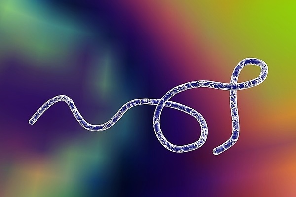 포토 JPG 해외이미지 과학 일러스트 생물 세포 나선형 건강 현미경 실험 사람 사람없음 약 3D 고통 열 벌레 질병 공격 생물학 싸움 감염 미생물 박테리아 전염병 해외202009 해외포토 교육 감정 곤충 무늬 의학 모션 실험기구 디지털합성 파일형식