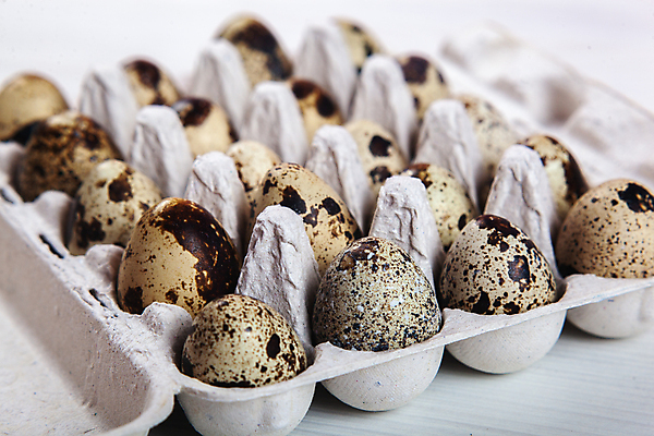 포토 JPG 해외이미지 전통 디자인 계절 음식 백그라운드 패턴 재료 자연 휴가 부활절 건강 사람없음 목재 장식 상자 농장 갈색 계란 축제 치킨 흰색 시골 축하 신선 그룹 아침식사 상품 작음 컨테이너 먹기 심볼 깃털 유기농 팩 내추럴 단백질 메추리 콘크리트 해외202009 해외포토 나무 웰빙 기념일 산업 컬러 컨셉 무늬 농업 모션 알 식사 화장품 크기 생태계 닭고기요리 영양소 파일형식