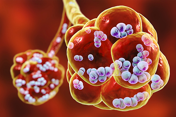 포토 JPG 해외이미지 과학 컨셉 신체 일러스트 해부 건강 사람 사람없음 내부 약 3D 원형 호흡기관 생물학 감염 시스템 박테리아 현실 해외202009 해외포토 도형 교육 의학 장기_의학 디지털합성 파일형식