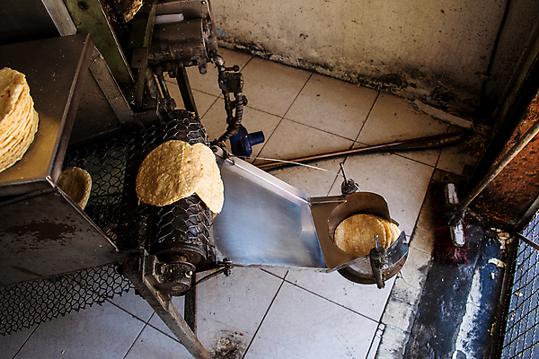 포토 JPG 해외이미지 전통 종이 문화 음식 채소 재료 자연 멕시코 건조 건강 옥수수 씨앗 사람없음 농작물 노란색 식사 저녁식사 흰색 신선 뜨거움 원형 황금 플러그 맛 상품 낟알 시리얼 유기농 질감 알맹이 반죽 밀가루 타코 내추럴 방앗간 고립 영양분 해외202009 해외포토 도형 식물 웰빙 컬러 컨셉 북아메리카 농업 곡류 가루 생태계 파일형식