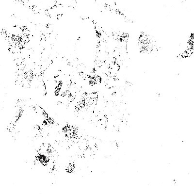 EPS 해외이미지 템플릿 디자인 종이 벽 백그라운드 패턴 일러스트 추상 잉크 프레임 미술 그래픽 장식 검은색 어둠 페인트 손상 고통 수확 흰색 붓 얼룩 거친 균열 가장자리 떨어짐 낟알 스케치 오브젝트 고민 질감 복고 먼지 덮기 우표 그런지 옛날 중고 타격 효과 해외202009 해외일러스트 감정 컬러 컨셉 무늬 농업 모션 문화예술 둘레 파일형식 벡터