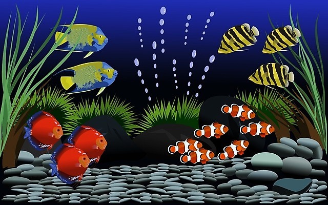 EPS 해외이미지 식물 동물 디자인 바다 백그라운드 잎 오렌지 일러스트 자연 검은배경 풍경 장식 초록색 물 파란색 반려동물 컬러풀 수중 해조류 산호 그림 암초 수족관 해외202009 해외일러스트 자연요소 컬러 과일 검은색 해양식물 자포동물 생태계 파일형식 벡터