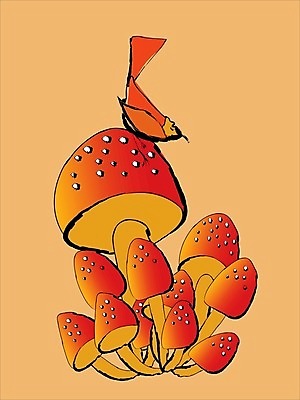 EPS 해외이미지 무료이미지 계절 포스터 패턴 일러스트 조류 미술 빨간색 버섯 가을 낙서 인쇄 그림 해외202009 해외202105 해외일러스트 동물 컬러 무늬 문화예술 파일형식 벡터 무료콘텐츠